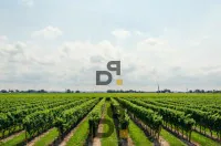 Rustico a Castiglione delle Stiviere – foto principale